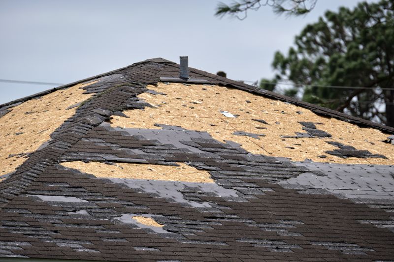 Roof Damage Restoration detail